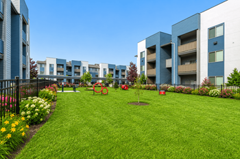Courtyard lawn with play equipment and garden beds